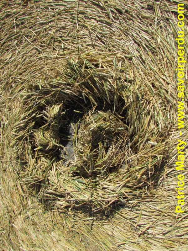 Etchilhampton (2), Wiltshire crop circle, aerial photo 71